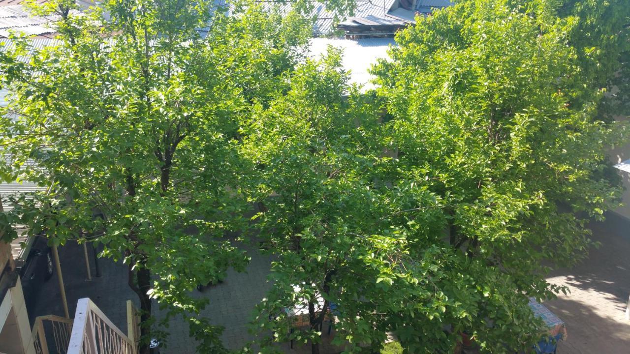 Gulnara Guesthouse Tashkent Exterior photo